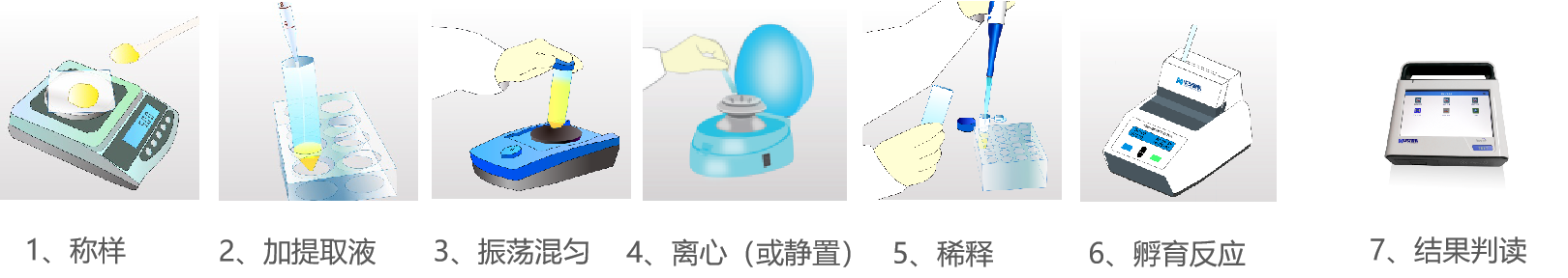 玉米赤霉烯酮快速定量檢測(cè)試紙條