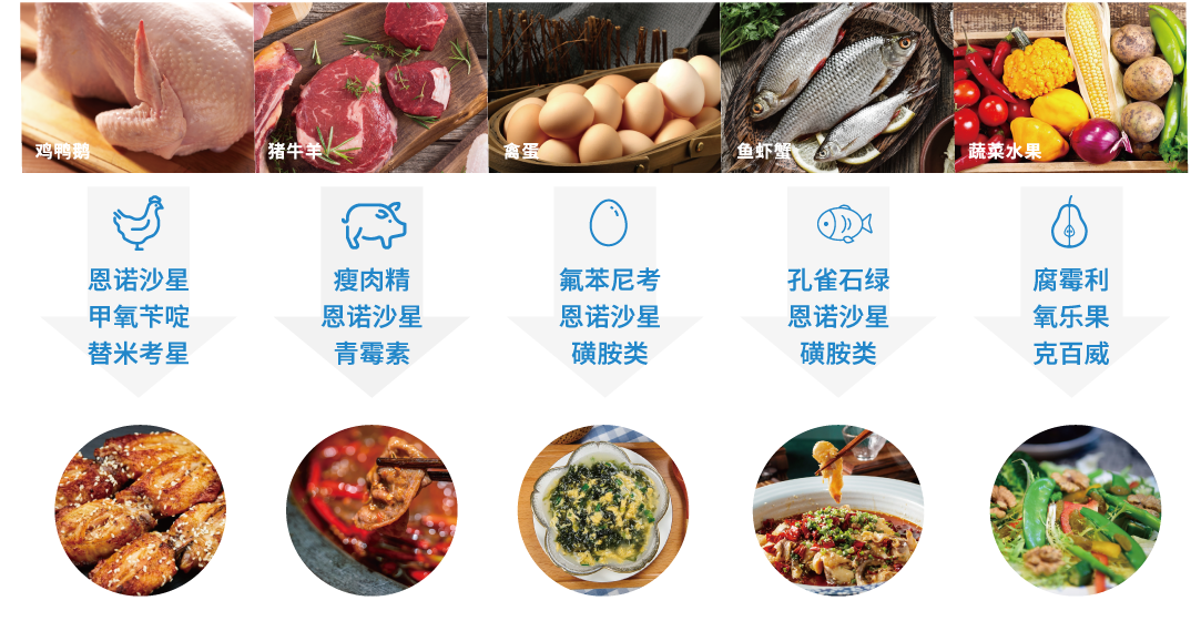 豬牛羊.png